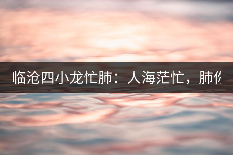 臨滄四小龍忙肺：人海茫忙，肺你莫屬！