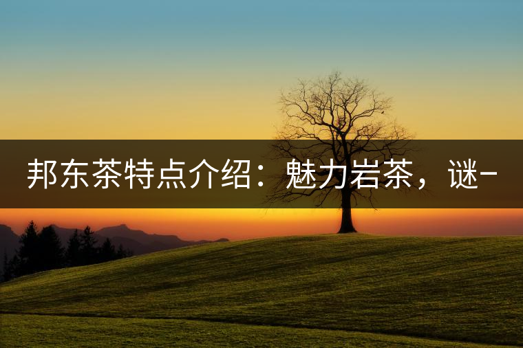 邦東茶特點(diǎn)介紹：魅力巖茶，謎一樣的邦東！