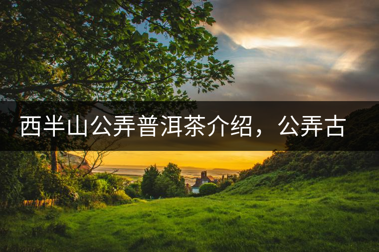西半山公弄普洱茶介紹，公弄古樹茶口感特點(diǎn)