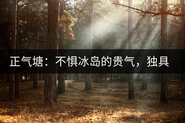 正氣塘：不懼冰島的貴氣，獨(dú)具冰島之魅力