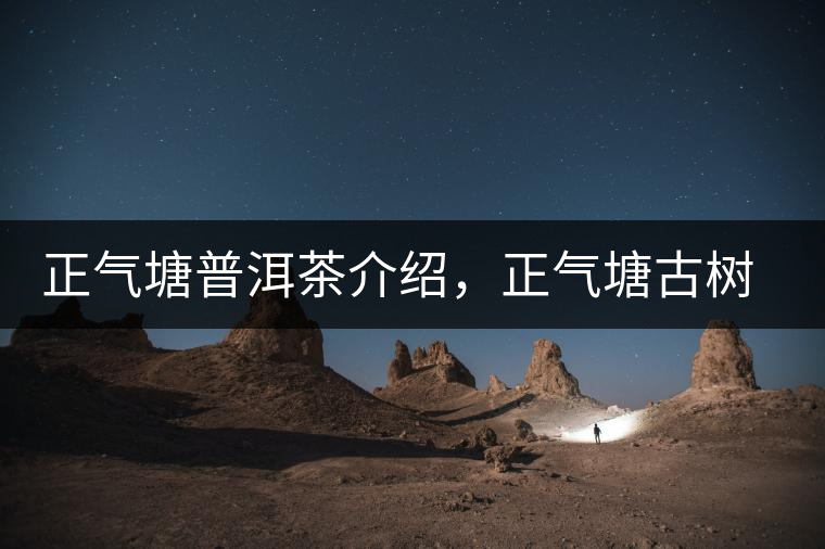 正氣塘普洱茶介紹，正氣塘古樹茶口感特點(diǎn)