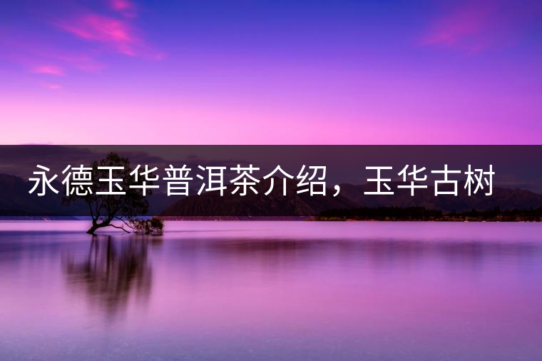 永德玉華普洱茶介紹，玉華古樹茶口感特點(diǎn)