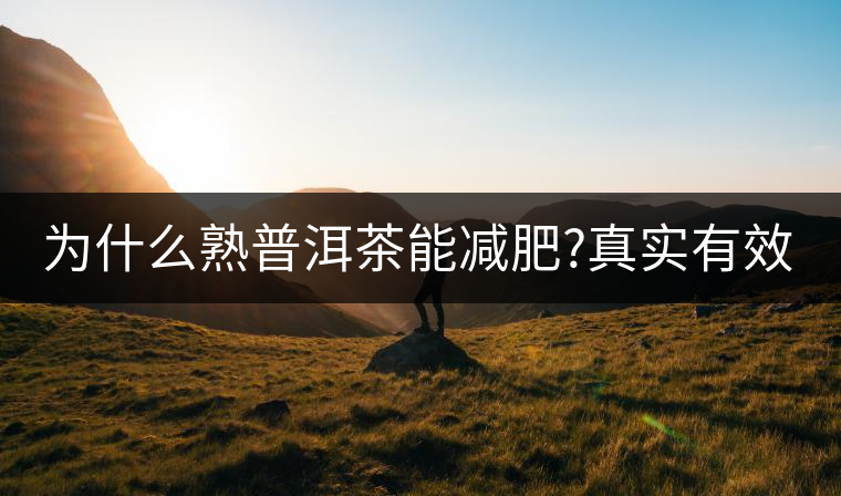 為什么熟普洱茶能減肥?真實(shí)有效嗎？