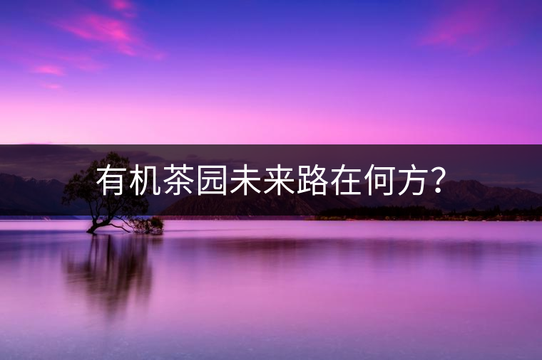 有機(jī)茶園未來路在何方？