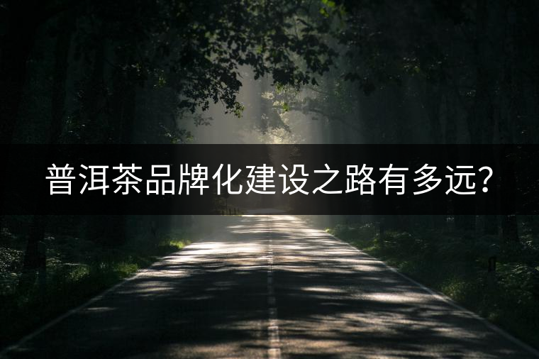 普洱茶品牌化建設(shè)之路有多遠？