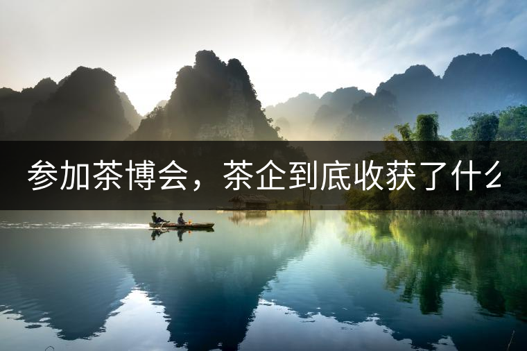 參加茶博會(huì)，茶企到底收獲了什么？