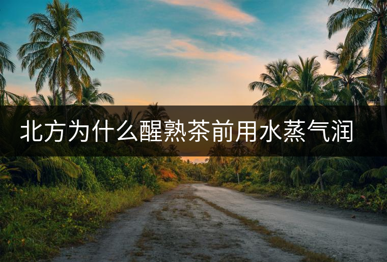 北方為什么醒熟茶前用水蒸氣潤一下？有何用處？