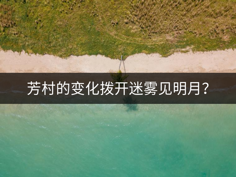 芳村的變化撥開(kāi)迷霧見(jiàn)明月？