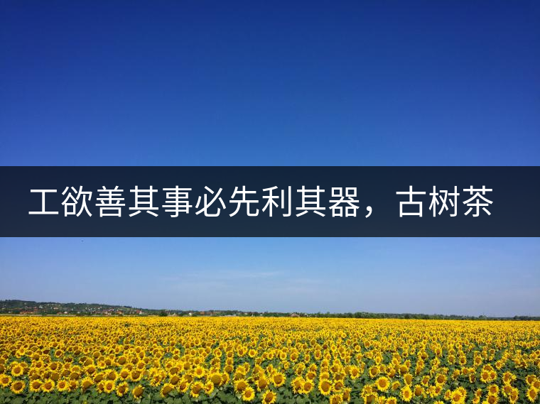 工欲善其事必先利其器，古樹茶用什么茶器最好？