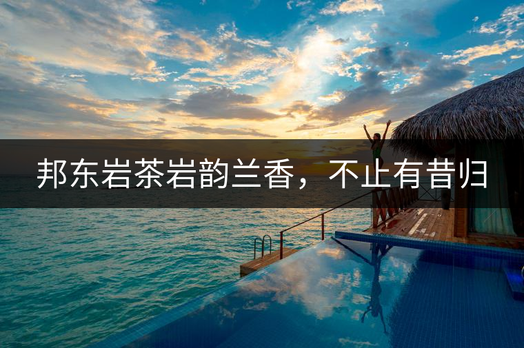 邦東巖茶巖韻蘭香，不止有昔歸