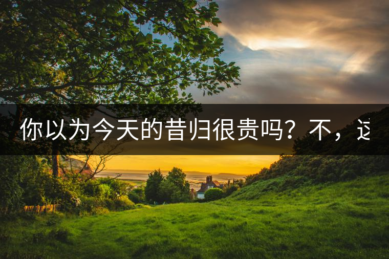 你以為今天的昔歸很貴嗎？不，這只是開始！