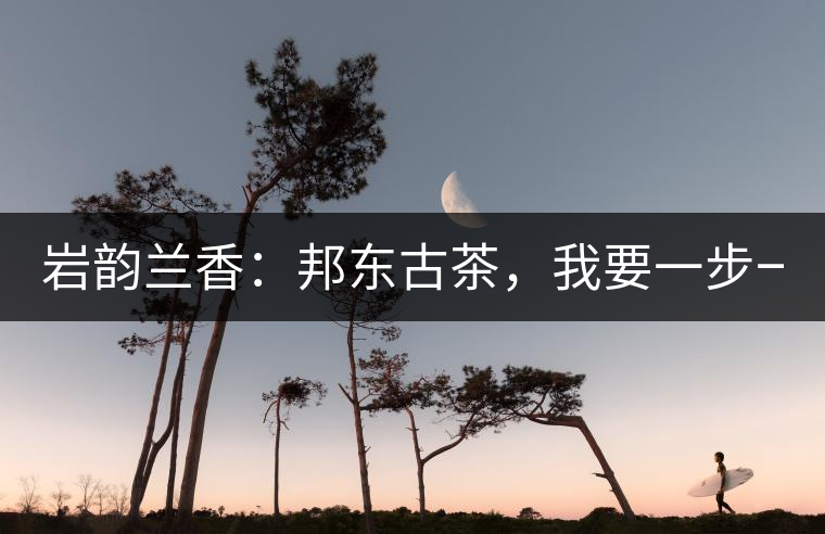 巖韻蘭香：邦東古茶，我要一步一步往上爬！