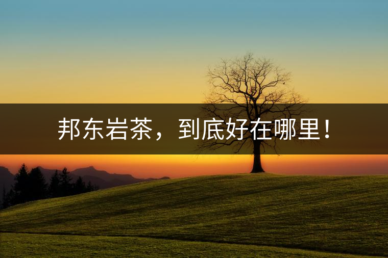 邦東巖茶，到底好在哪里！