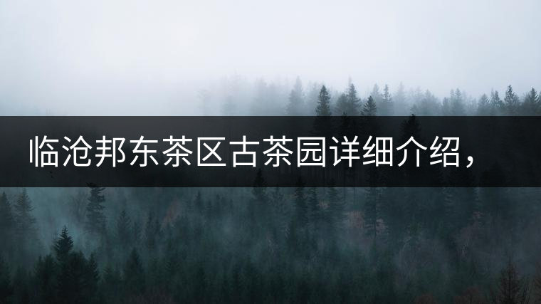 臨滄邦東茶區(qū)古茶園詳細介紹，邦東古樹茶特點