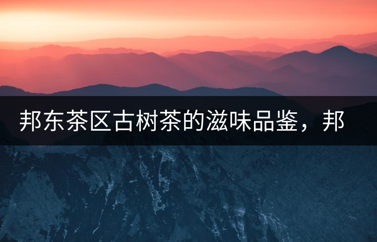 邦東茶區(qū)古樹茶的滋味品鑒，邦東普洱茶特點(diǎn)