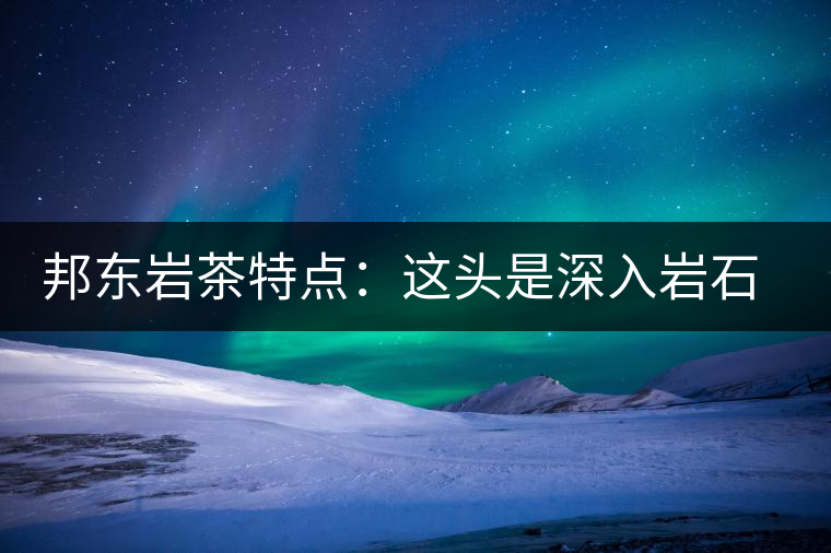邦東巖茶特點：這頭是深入巖石的根，那頭是臨風(fēng)飄香的古韻