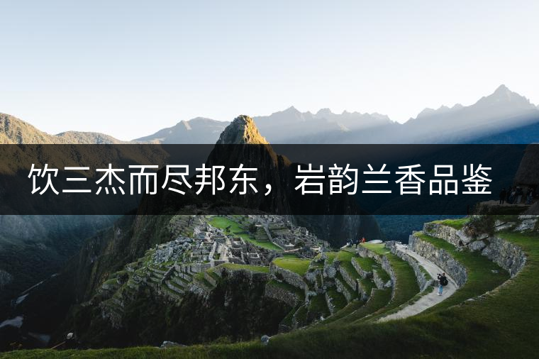 飲三杰而盡邦東，巖韻蘭香品鑒：生于山石上，韻味正當(dāng)