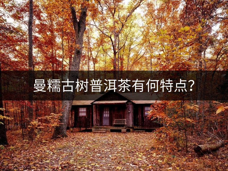 曼糯古樹普洱茶有何特點(diǎn)？