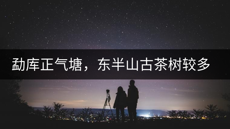 勐庫正氣塘，東半山古茶樹較多的寨子