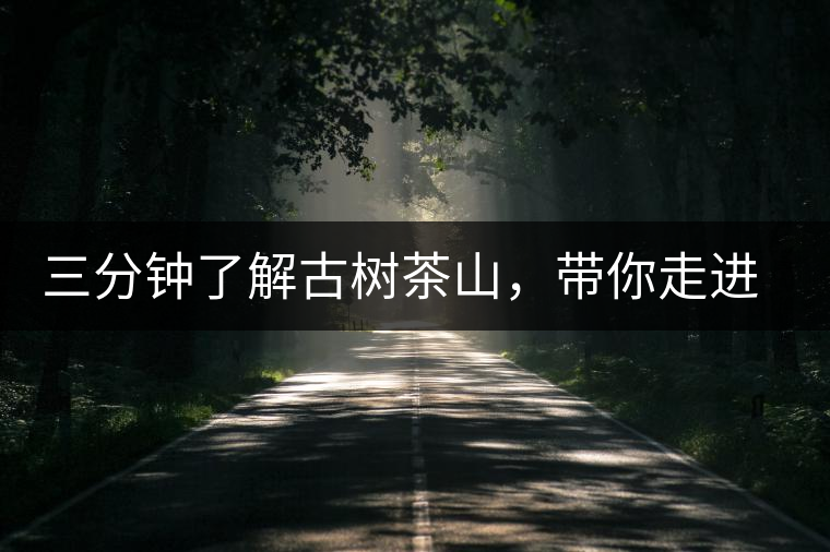 三分鐘了解古樹茶山，帶你走進西蒙佛殿山