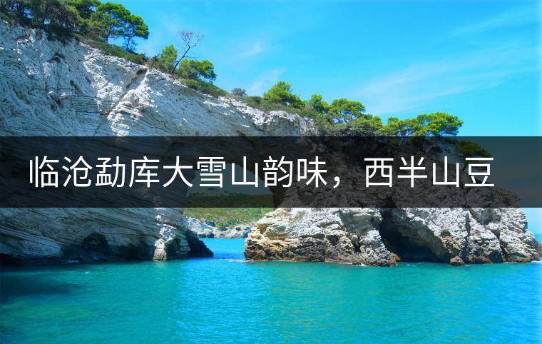 臨滄勐庫大雪山韻味，西半山豆腐寨古樹茶