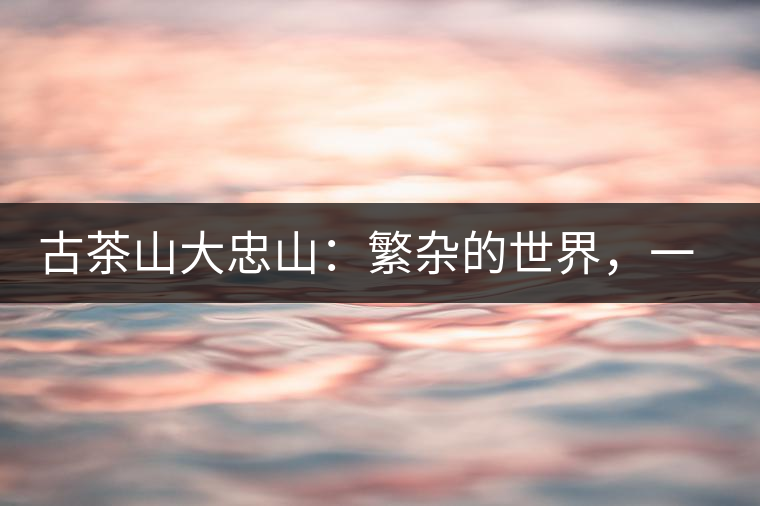 古茶山大忠山：繁雜的世界，一杯就夠了