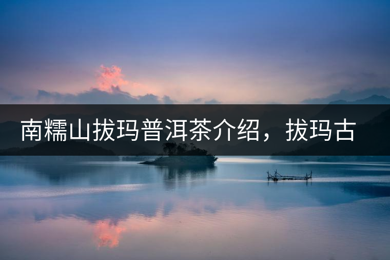 南糯山拔瑪普洱茶介紹，拔瑪古樹茶口感特點