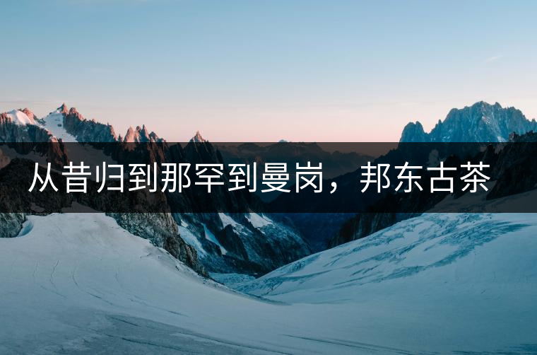 從昔歸到那罕到曼崗，邦東古茶藏著一條規(guī)律！