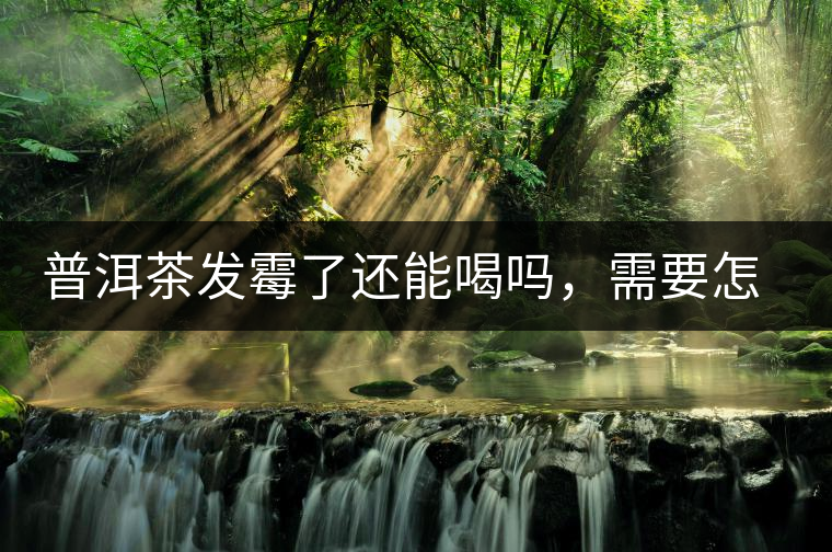 普洱茶發(fā)霉了還能喝嗎，需要怎么處理？