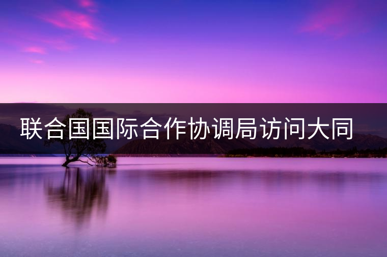 聯(lián)合國(guó)國(guó)際合作協(xié)調(diào)局訪問(wèn)大同世界總部
