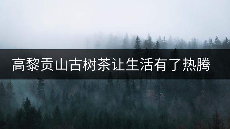 高黎貢山古樹茶讓生活有了熱騰的醉意 高黎貢山古樹茶讓生活有了熱騰的醉意
