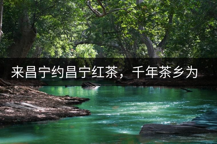 來昌寧約昌寧紅茶，千年茶鄉(xiāng)為您開啟生態(tài)之旅