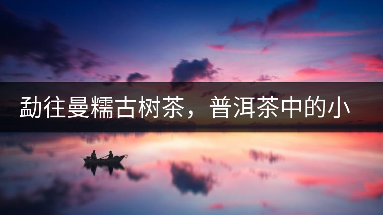 勐往曼糯古樹茶，普洱茶中的小班章