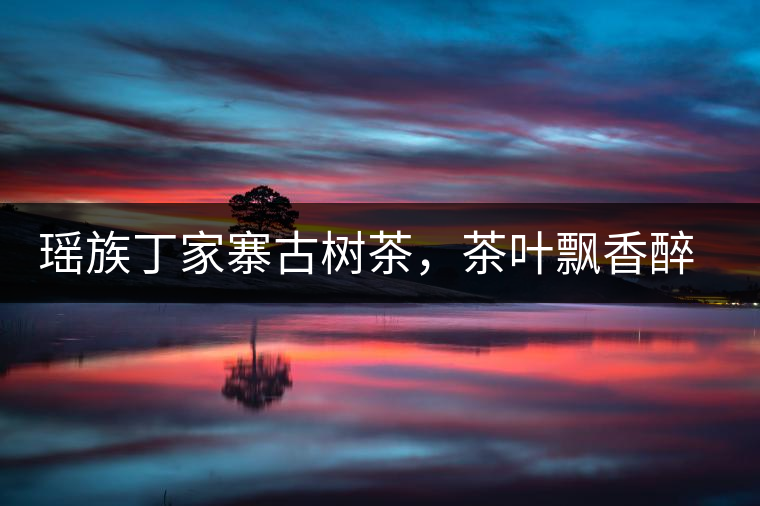 瑤族丁家寨古樹茶，茶葉飄香醉萬家