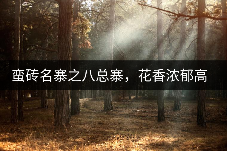 蠻磚名寨之八總寨，花香濃郁高揚(yáng)