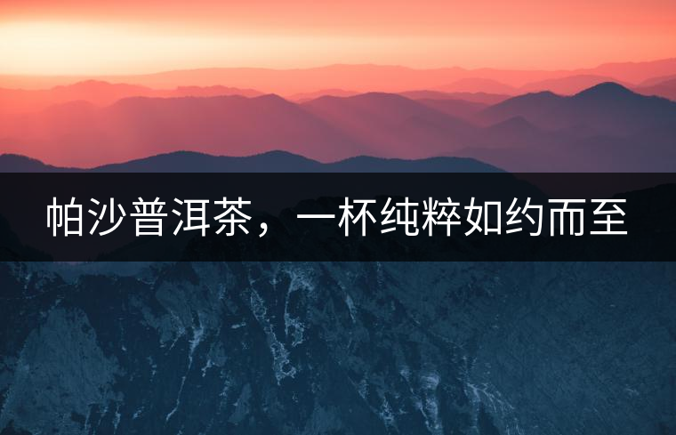 帕沙普洱茶，一杯純粹如約而至