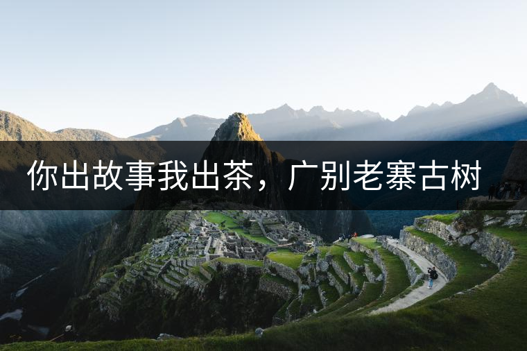 你出故事我出茶，廣別老寨古樹妖茶