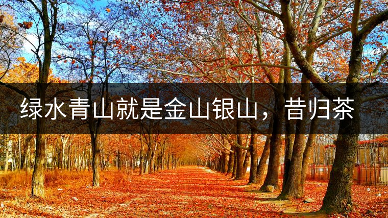 綠水青山就是金山銀山，昔歸茶農(nóng)唱著“茶歌”奔小康