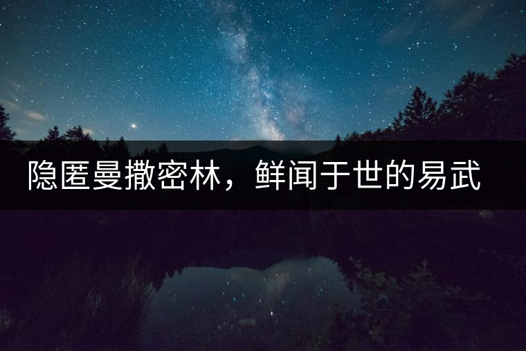 隱匿曼撒密林，鮮聞于世的易武一扇磨古樹茶