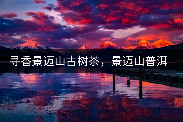 尋香景邁山古樹茶，景邁山普洱茶特點介紹