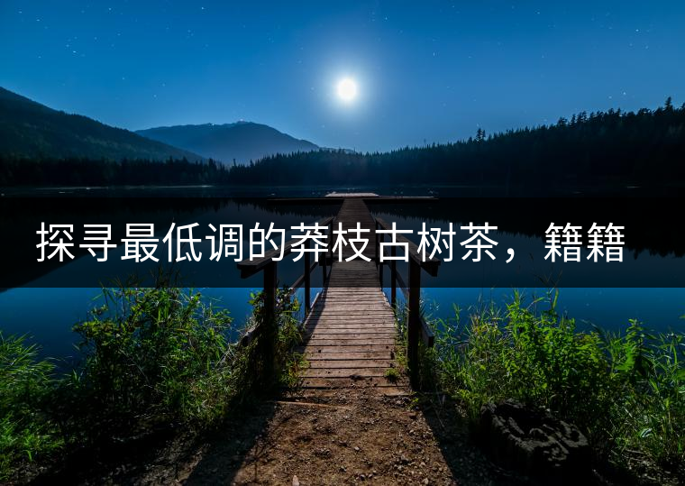 探尋最低調(diào)的莽枝古樹茶，籍籍無名出好茶