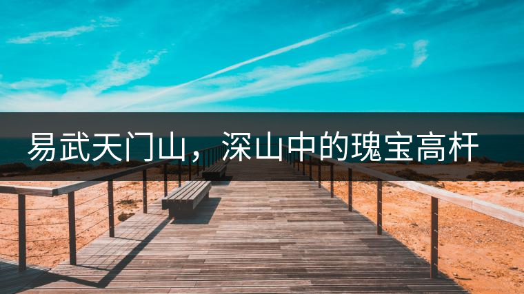 易武天門山，深山中的瑰寶高桿古樹