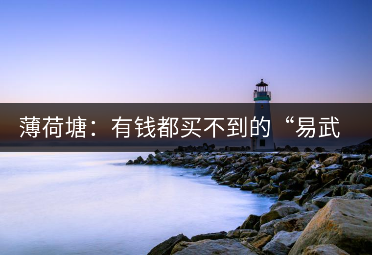 薄荷塘：有錢都買不到的“易武貴胄”，卓爾不群，無茶可及