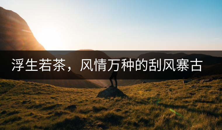 浮生若茶，風(fēng)情萬種的刮風(fēng)寨古樹茶