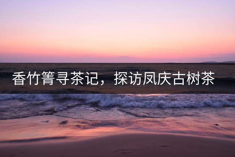 香竹箐尋茶記，探訪鳳慶古樹茶山