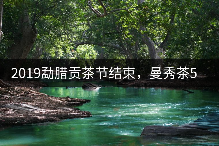 2019勐臘貢茶節(jié)結束，曼秀茶5公斤107萬奪得金獎
