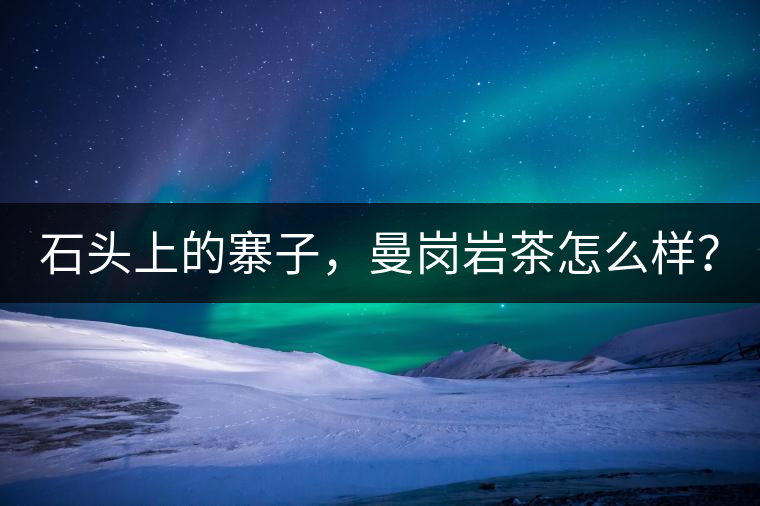 石頭上的寨子，曼崗巖茶怎么樣？