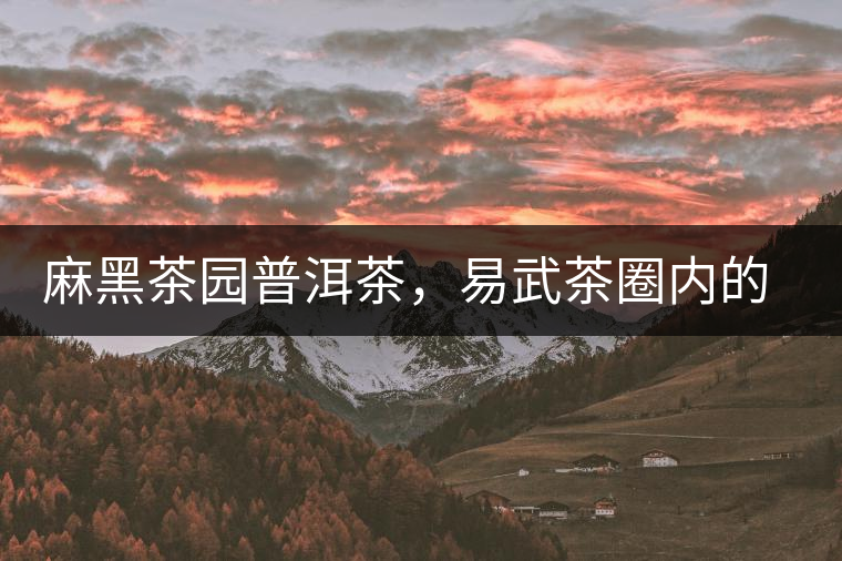 麻黑茶園普洱茶，易武茶圈內(nèi)的翹楚