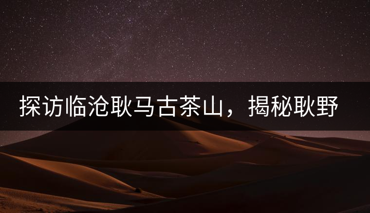 探訪臨滄耿馬古茶山，揭秘耿野生古茶樹(shù)群落