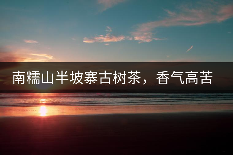 南糯山半坡寨古樹茶，香氣高苦味淡甜味重